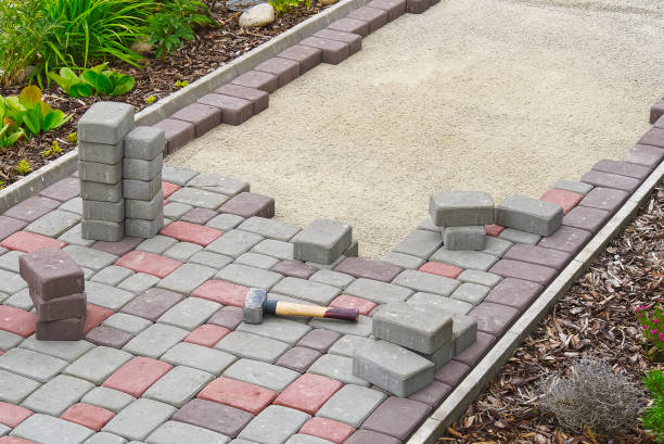 Best Driveway Paving Contractor  in Craig, AK