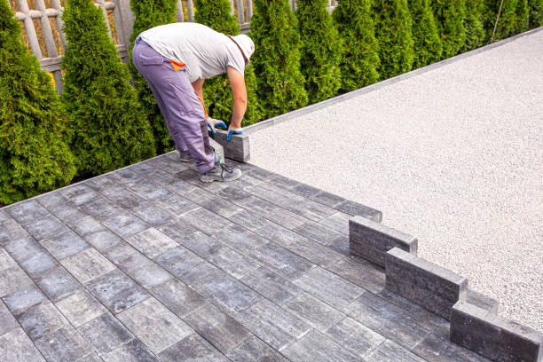 Best Professional Driveway Pavers  in Craig, AK